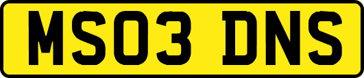 MS03DNS