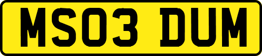 MS03DUM