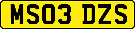 MS03DZS