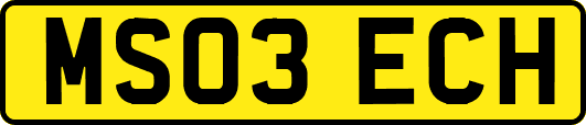 MS03ECH