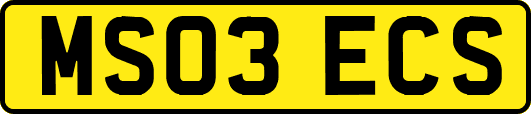 MS03ECS