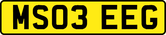 MS03EEG