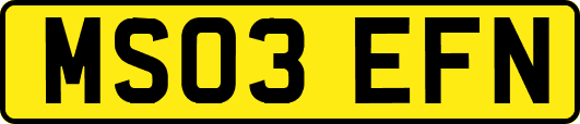 MS03EFN