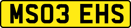 MS03EHS