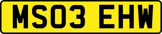 MS03EHW