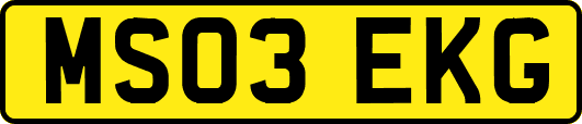 MS03EKG