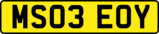 MS03EOY