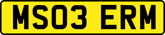 MS03ERM