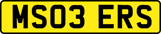 MS03ERS