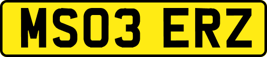 MS03ERZ