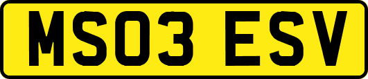 MS03ESV