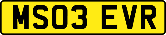 MS03EVR