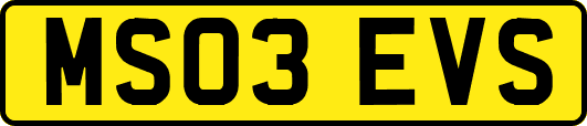 MS03EVS