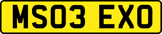 MS03EXO