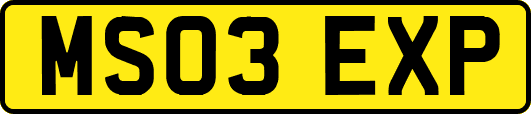 MS03EXP