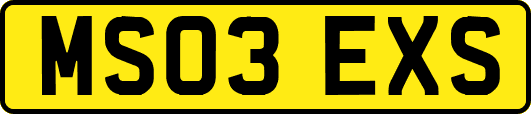 MS03EXS