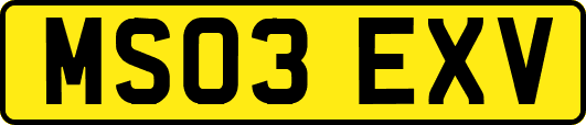 MS03EXV