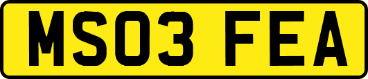 MS03FEA