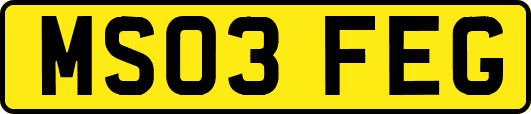 MS03FEG