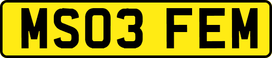 MS03FEM