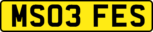 MS03FES