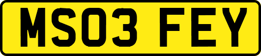 MS03FEY