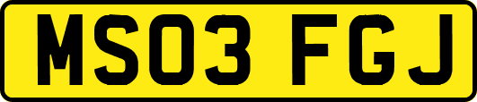 MS03FGJ