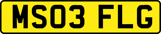 MS03FLG