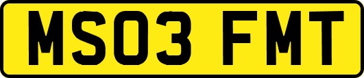 MS03FMT