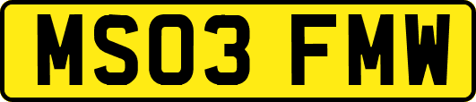MS03FMW