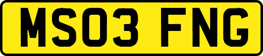 MS03FNG