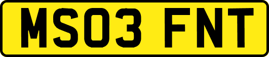 MS03FNT