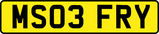 MS03FRY