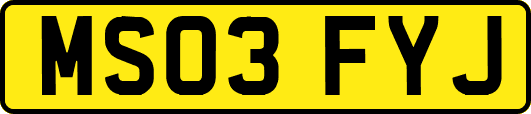 MS03FYJ