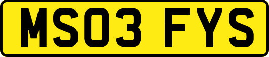 MS03FYS