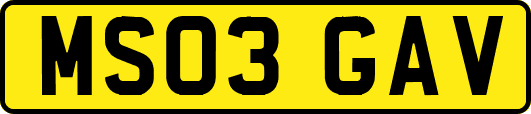 MS03GAV