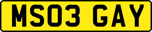 MS03GAY