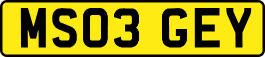 MS03GEY