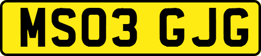 MS03GJG