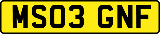 MS03GNF