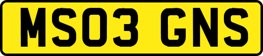 MS03GNS