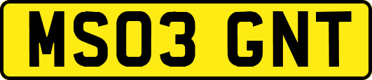 MS03GNT