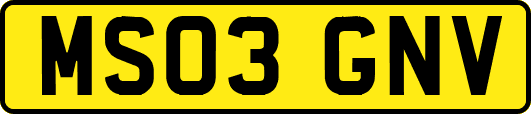 MS03GNV