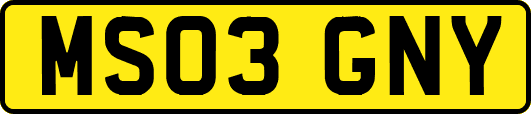 MS03GNY