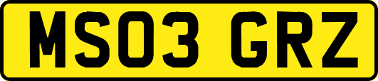 MS03GRZ