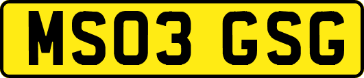 MS03GSG