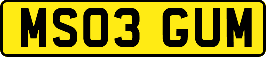 MS03GUM