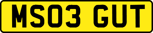 MS03GUT