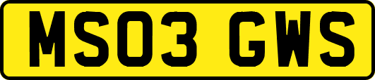 MS03GWS