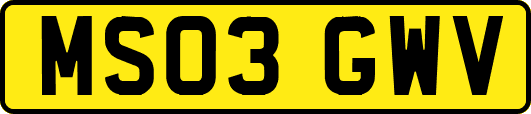 MS03GWV